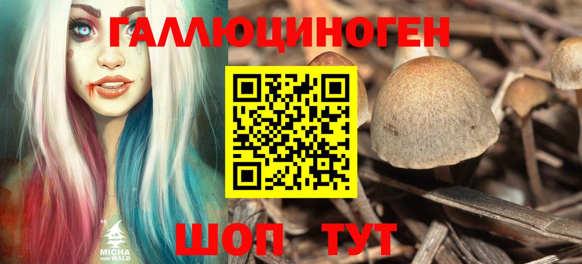 Галлюциногенные грибы Cubensis  Вход с VPN  Сибай 
